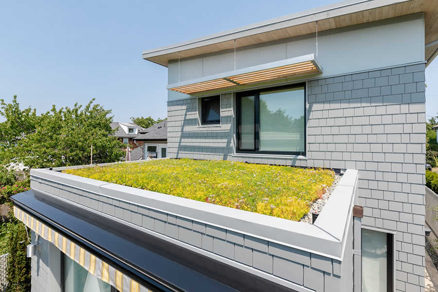 green roof